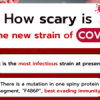 How scary is the new strain of COVID XBB.1.5?