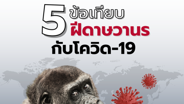 5 ข้อเทียบ ฝีดาษวานรกับโควิด-19