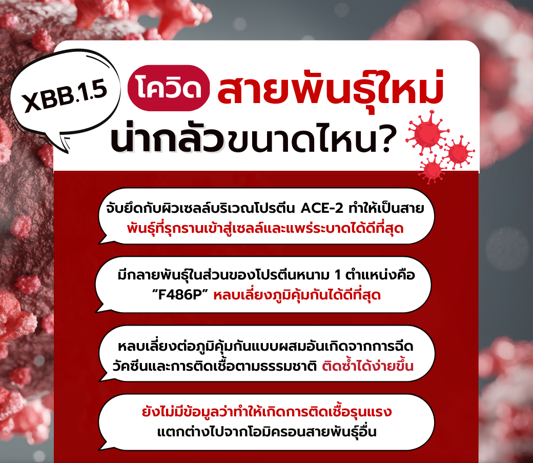 โควิดสายพันธุ์ใหม่ XBB.1.5 น่ากลัวขนาดไหน_.png